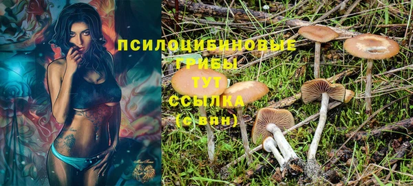 винт Балабаново