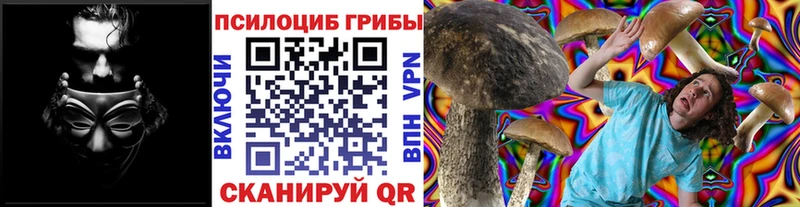 Галлюциногенные грибы прущие грибы  blacksprut ONION  Нерчинск  наркота 